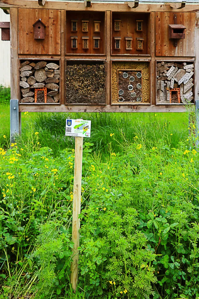 Infotafeln für EHDA Flächen 7